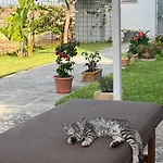 La Vecchia Brace Hébergement de vacances *